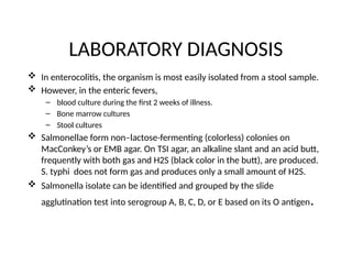 LABORATORY DIAGNOSIS
 In enterocolitis, the organism is most easily isolated from a stool sample.
 However, in the enteric fevers,
– blood culture during the first 2 weeks of illness.
– Bone marrow cultures
– Stool cultures
 Salmonellae form non–lactose-fermenting (colorless) colonies on
MacConkey’s or EMB agar. On TSI agar, an alkaline slant and an acid butt,
frequently with both gas and H2S (black color in the butt), are produced.
S. typhi does not form gas and produces only a small amount of H2S.
 Salmonella isolate can be identified and grouped by the slide
agglutination test into serogroup A, B, C, D, or E based on its O antigen.
 