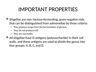 IMPORTANT PROPERTIES
 Shigellae are non–lactose-fermenting, gram-negative rods
that can be distinguished from salmonellae by three criteria:
– They produce no gas from the fermentation of glucose,
– They do not produce H2S
– They are nonmotile.
 All shigellae have O antigens (polysaccharide) in their cell
walls, and these antigens are used to divide the genus into
four groups: A, B, C, and D.
 