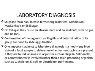 LABORATORY DIAGNOSIS
 Shigellae form non–lactose-fermenting (colorless) colonies on
MacConkey’s or EMB agar.
 On TSI agar, they cause an alkaline slant and an acid butt, with no gas
and no H2S.
 Confirmation of the organism as Shigella and determination of its
group are done by slide agglutination.
 One important adjunct to laboratory diagnosis is a methylene blue
stain of a fecal sample to determine whether neutrophils are present.
If they are found, an invasive organism such as Shigella, Salmonella,
or Campylobacter is involved rather than a toxin-producing organism
such as V. cholerae, E. coli, or Clostridium perfringens.
 