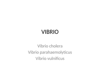 VIBRIO
Vibrio cholera
Vibrio parahaemolyticus
Vibrio vulnificus
 