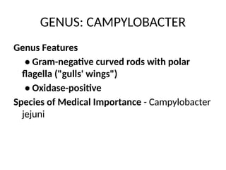 GENUS: CAMPYLOBACTER
Genus Features
• Gram-negative curved rods with polar
flagella ("gulls' wings")
• Oxidase-positive
Species of Medical Importance - Campylobacter
jejuni
 