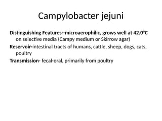 Campylobacter jejuni
Distinguishing Features--microaerophilic, grows well at 42.0°C
on selective media (Campy medium or Skirrow agar)
Reservoir-intestinal tracts of humans, cattle, sheep, dogs, cats,
poultry
Transmission- fecal-oral, primarily from poultry
 