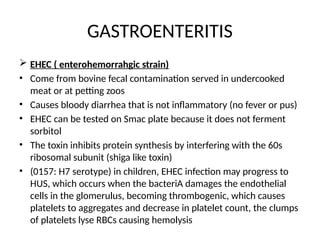 GASTROENTERITIS
 EHEC ( enterohemorrahgic strain)
• Come from bovine fecal contamination served in undercooked
meat or at petting zoos
• Causes bloody diarrhea that is not inflammatory (no fever or pus)
• EHEC can be tested on Smac plate because it does not ferment
sorbitol
• The toxin inhibits protein synthesis by interfering with the 60s
ribosomal subunit (shiga like toxin)
• (0157: H7 serotype) in children, EHEC infection may progress to
HUS, which occurs when the bacteriA damages the endothelial
cells in the glomerulus, becoming thrombogenic, which causes
platelets to aggregates and decrease in platelet count, the clumps
of platelets lyse RBCs causing hemolysis
 