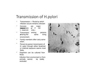 Transmission of H.pylori


Transmission — Route by which
infection occurs remains unknown
Humans are major
source of
- if not
only–

transmissio
n reservoir.
Transmissio
n
sharing the
among
same
persons
living


environment.
Family members often carry same
strain.
Person-to-person transmission of
H. pylori through either fecal/oral
or oral/oral exposure seems most
likely.
 Organism can be cultured from
feces.
Infection from environment or from
animals cannot be totally
excluded.
 