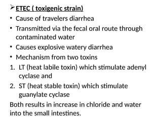ETEC ( toxigenic strain)
• Cause of travelers diarrhea
• Transmitted via the fecal oral route through
contaminated water
• Causes explosive watery diarrhea
• Mechanism from two toxins
1. LT (heat labile toxin) which stimulate adenyl
cyclase and
2. ST (heat stable toxin) which stimulate
guanylate cyclase
Both results in increase in chloride and water
into the small intestines.
 
