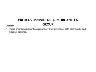 PROTEUS–PROVIDENCIA–MORGANELLA
GROUP
Diseases
• These organisms primarily cause urinary tract infections, both community- and
hospital-acquired.
 