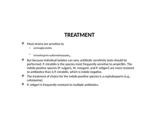 TREATMENT
 Most strains are sensitive to
– aminoglycosides
– trimethoprim-sulfamethoxazole,
 But because individual isolates can vary, antibiotic sensitivity tests should be
performed. P. mirabilis is the species most frequently sensitive to ampicillin. The
indole-positive species (P. vulgaris, M. morganii, and P. rettgeri) are more resistant
to antibiotics than is P. mirabilis, which is indole-negative.
 The treatment of choice for the indole-positive species is a cephalosporin (e.g.,
cefotaxime).
 P. rettgeri is frequently resistant to multiple antibiotics.
 