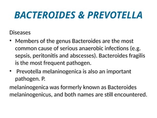 BACTEROIDES & PREVOTELLA
Diseases
• Members of the genus Bacteroides are the most
common cause of serious anaerobic infections (e.g.
sepsis, peritonitis and abscesses). Bacteroides fragilis
is the most frequent pathogen.
• Prevotella melaninogenica is also an important
pathogen. P.
melaninogenica was formerly known as Bacteroides
melaninogenicus, and both names are still encountered.
 
