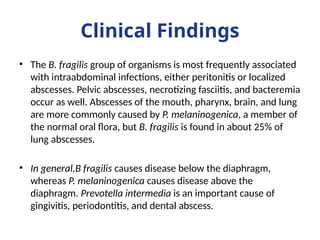 Clinical Findings
• The B. fragilis group of organisms is most frequently associated
with intraabdominal infections, either peritonitis or localized
abscesses. Pelvic abscesses, necrotizing fasciitis, and bacteremia
occur as well. Abscesses of the mouth, pharynx, brain, and lung
are more commonly caused by P. melaninogenica, a member of
the normal oral flora, but B. fragilis is found in about 25% of
lung abscesses.
• In general,B fragilis causes disease below the diaphragm,
whereas P. melaninogenica causes disease above the
diaphragm. Prevotella intermedia is an important cause of
gingivitis, periodontitis, and dental abscess.
 