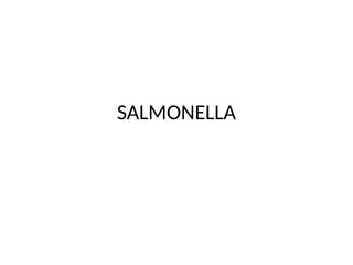 SALMONELLA
 