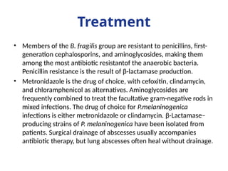 Treatment
• Members of the B. fragilis group are resistant to penicillins, first-
generation cephalosporins, and aminoglycosides, making them
among the most antibiotic resistantof the anaerobic bacteria.
Penicillin resistance is the result of β-lactamase production.
• Metronidazole is the drug of choice, with cefoxitin, clindamycin,
and chloramphenicol as alternatives. Aminoglycosides are
frequently combined to treat the facultative gram-negative rods in
mixed infections. The drug of choice for P.melaninogenica
infections is either metronidazole or clindamycin. β-Lactamase–
producing strains of P. melaninogenica have been isolated from
patients. Surgical drainage of abscesses usually accompanies
antibiotic therapy, but lung abscesses often heal without drainage.
 