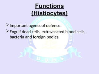 Comprehensive Overview of Connective Tissue Components and Functions | PPSX