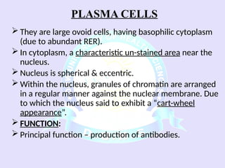 Comprehensive Overview of Connective Tissue Components and Functions | PPSX