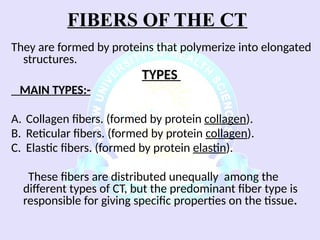 Comprehensive Overview of Connective Tissue Components and Functions | PPSX