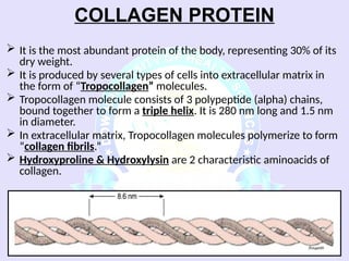 Comprehensive Overview of Connective Tissue Components and Functions | PPSX