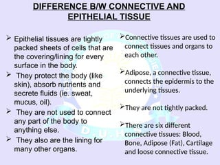 Comprehensive Overview of Connective Tissue Components and Functions | PPSX