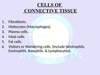 Comprehensive Overview of Connective Tissue Components and Functions | PPSX