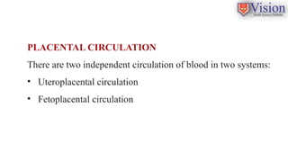 Comprehensive Overview of Placenta: Development, Structure, and ...