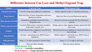 Difference between Cue Lure and Methyl Eugenol Trap
Feature Cue-Lure Trap Methyl Eugenol Trap
Chemical attractant Cue-lure (4-(p-acetoxyphenyl)-2-butanone) Methyl eugenol (4-allyl-1,2-dimethoxybenzene)
Target insects
Male fruit flies of many Zeugodacus and some
Bactrocera species
Male fruit flies of several Bactrocera species
Main species attracted
Zeugodacus cucurbitae (melon fruit fly),
Zeugodacus tau
Bactrocera dorsalis (oriental fruit fly), Bactrocera
correcta
Major crops protected
Cucurbits (bitter gourd, cucumber, pumpkin,
bottle gourd, squash, etc.)
Mango, guava, citrus, papaya, banana, peach and other
fruit crops
Purpose
Monitoring and mass trapping of cucurbit fruit
flies
Monitoring and mass trapping of oriental fruit flies in
fruit orchards
Trap contents
Cue-lure + insecticide (e.g., DDVP strip or
malathion)
Methyl eugenol + insecticide (e.g., DDVP strip or
malathion)
Field placement Hung 1–2 m above ground in cucurbit fields Hung 1.5–2.5 m high in fruit trees
Effect on females Does not attract females Does not attract females
Simple memory trick
Cue-lure → Cucurbits (vegetables).
Methyl eugenol → Mango and other fruit trees (orchards).
 