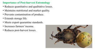 Importance of Post-harvest Entomology
• Reduces quantitative and qualitative losses.
• Maintains nutritional and market quality.
• Prevents contamination of produce.
• Extends storage life.
• Meets export quarantine standards.
• Increases farmers' income.
• Reduces post-harvest losses.
 