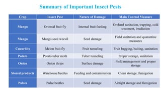 Summary of Important Insect Pests
Crop Insect Pest Nature of Damage Main Control Measure
Mango Oriental fruit fly Internal fruit feeding
Orchard sanitation, trapping, cold
treatment, irradiation
Mango Mango seed weevil Seed damage
Field sanitation and quarantine
measures
Cucurbits Melon fruit fly Fruit tunneling Fruit bagging, baiting, sanitation
Potato Potato tuber moth Tuber tunneling Proper storage, sanitation
Onion Onion thrips Surface damage
Field management and proper
storage
Stored products Warehouse beetles Feeding and contamination Clean storage, fumigation
Pulses Pulse beetles Seed damage Airtight storage and fumigation
 