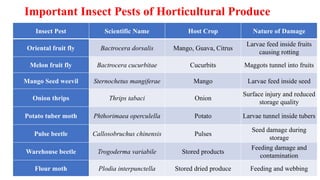 Important Insect Pests of Horticultural Produce
Insect Pest Scientific Name Host Crop Nature of Damage
Oriental fruit fly Bactrocera dorsalis Mango, Guava, Citrus
Larvae feed inside fruits
causing rotting
Melon fruit fly Bactrocera cucurbitae Cucurbits Maggots tunnel into fruits
Mango Seed weevil Sternochetus mangiferae Mango Larvae feed inside seed
Onion thrips Thrips tabaci Onion
Surface injury and reduced
storage quality
Potato tuber moth Phthorimaea operculella Potato Larvae tunnel inside tubers
Pulse beetle Callosobruchus chinensis Pulses
Seed damage during
storage
Warehouse beetle Trogoderma variabile Stored products
Feeding damage and
contamination
Flour moth Plodia interpunctella Stored dried produce Feeding and webbing
 