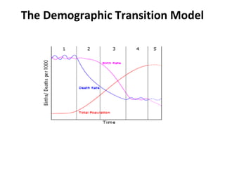The Demographic Transition Model

 