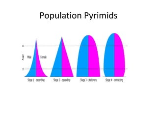 Population Pyrimids

 