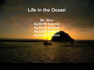 Life in the Ocean

      Mr. Silva
  Ag Earth Science
  Ag Earth Science
  Ag Earth Science
  Ag Earth Science
 