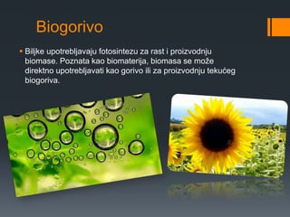Biogorivo 
 Biljke upotrebljavaju fotosintezu za rast i proizvodnju 
biomase. Poznata kao biomaterija, biomasa se može 
direktno upotrebljavati kao gorivo ili za proizvodnju tekućeg 
biogoriva. 
 