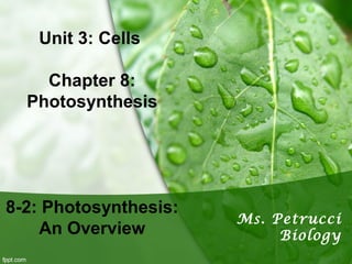 Unit 3: Cells
Chapter 8:
Photosynthesis
8-2: Photosynthesis:
An Overview
Ms. Petrucci
Biology
 