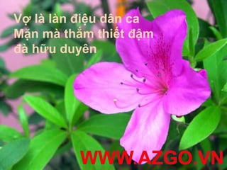 Vợ là làn điệu dân ca
Mặn mà thắm thiết đậm
đà hữu duyên
 