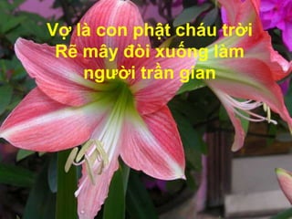 Vợ là con phật cháu trời
 Rẽ mây đòi xuống làm
    người trần gian
 