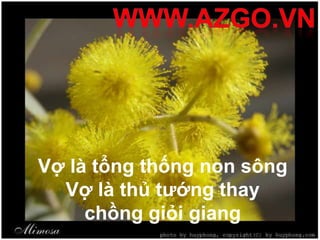 Vợ là tổng thống non sông
  Vợ là thủ tướng thay
     chồng giỏi giang
 