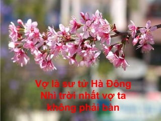 Vợ là sư tử Hà Đông
 Nhì trời nhất vợ ta
  không phải bàn
 