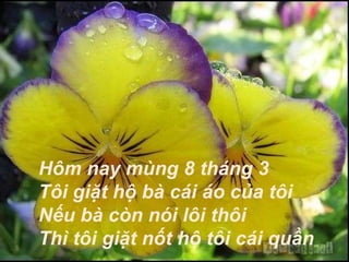 Hôm nay mùng 8 tháng 3
Tôi giặt hộ bà cái áo của tôi
Nếu bà còn nói lôi thôi
Thì tôi giặt nốt hộ tôi cái quần
 