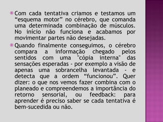 Com cada tentativa criamos e testamos um “esquema motor” no cérebro, que comanda uma determinada combinação de músculos. No início não funciona e acabamos por movimentar partes não desejadas.  Quando finalmente conseguimos, o cérebro compara a informação chegado pelos sentidos com uma "cópia interna" das sensações esperadas - por exemplo a visão de apenas uma sobrancelha levantada - e detecta que a ordem “funcionou”. Quer dizer: o que nos vemos fazer combina com o planeado e compreendemos a importância do retorno sensorial, ou feedback: para aprender é preciso saber se cada tentativa é bem-sucedida ou não. 