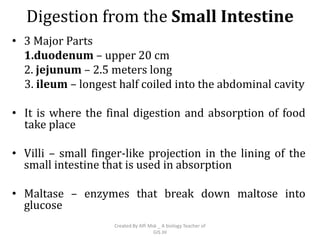 8 3. digestive system | PPTX