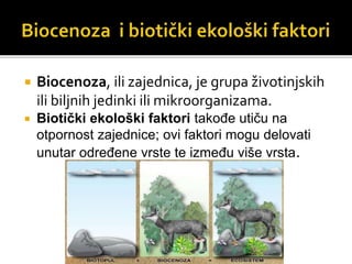  Biocenoza, ili zajednica, je grupa životinjskih 
ili biljnih jedinki ili mikroorganizama. 
 Biotički ekološki faktori takođe utiču na 
otpornost zajednice; ovi faktori mogu delovati 
unutar određene vrste te između više vrsta. 
 