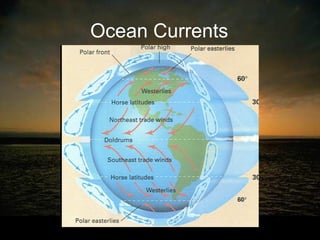 Ocean Currents
 