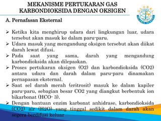 MEKANISME PERTUKARAN GAS
KARBONDIOKSIDA DENGAN OKSIGEN
A. Pernafasan Eksternal
 Ketika kita menghirup udara dari lingkungan luar, udara
tersebut akan masuk ke dalam paru-paru.
 Udara masuk yang mengandung oksigen tersebut akan diikat
darah lewat difusi.
 Pada saat yang sama, darah yang mengandung
karbondioksida akan dilepaskan.
 Proses pertukaran oksigen (O2) dan karbondioksida (CO2)
antara udara dan darah dalam paru-paru dinamakan
pernapasan eksternal.
 Saat sel darah merah (eritrosit) masuk ke dalam kapiler
paru-paru, sebagian besar CO2 yang diangkut berbentuk ion
bikarbonat (HCO- 3).
 Dengan bantuan enzim karbonat anhidrase, karbondioksida
(CO2) air (H2O) yang tinggal sedikit dalam darah akan
segera berdifusi keluar
 
