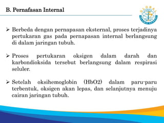 B. Pernafasan Internal
 Berbeda dengan pernapasan eksternal, proses terjadinya
pertukaran gas pada pernapasan internal berlangsung
di dalam jaringan tubuh.
 Proses pertukaran oksigen dalam darah dan
karbondioksida tersebut berlangsung dalam respirasi
seluler.
 Setelah oksihemoglobin (HbO2) dalam paru-paru
terbentuk, oksigen akan lepas, dan selanjutnya menuju
cairan jaringan tubuh.
 