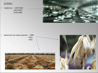 1.2.Crisis :
• Epidemias : -1597/1602
-1647/1652
-1676/1685
• Reiteración de malas cosechas : - 1609
- 1615
- 1631