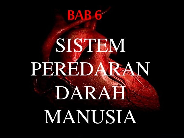 8 5 Sistem Peredaran Darah 81003151