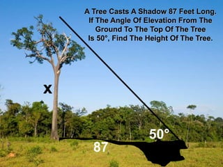 A Tree Casts A Shadow 87 Feet Long.
If The Angle Of Elevation From The
Ground To The Top Of The Tree
Is 50属, Find The Height Of The Tree.
50属
87
x
