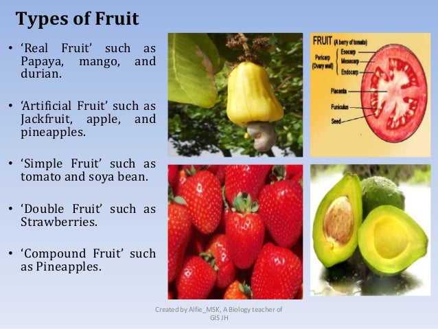 8 6. Structure and function of plant organs