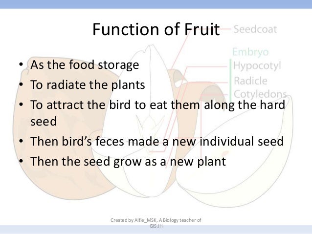 8 6. Structure and function of plant organs