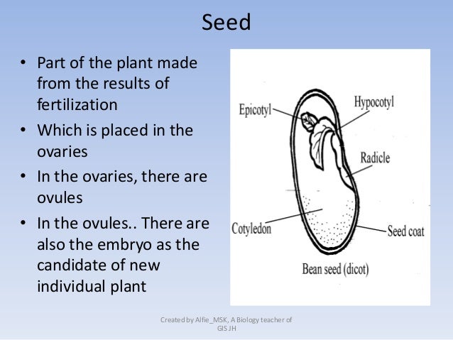 8 6. Structure and function of plant organs