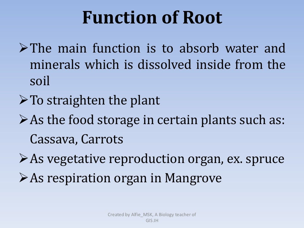 8 6. Structure and function of plant organs