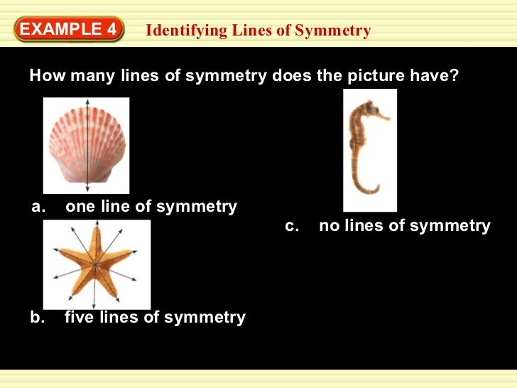8.6 reflections and symmetry 1